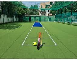 Cricket Turf Area Required
