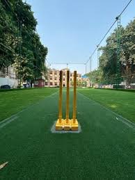 Cricket Turf Construction in Lucknow Price 