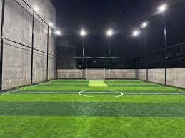 Cricket Turf Construction in Lucknow Cost
