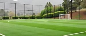 Is 1 Acre Enough for a Cricket Ground?