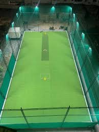 Is cricket turf business profitable?